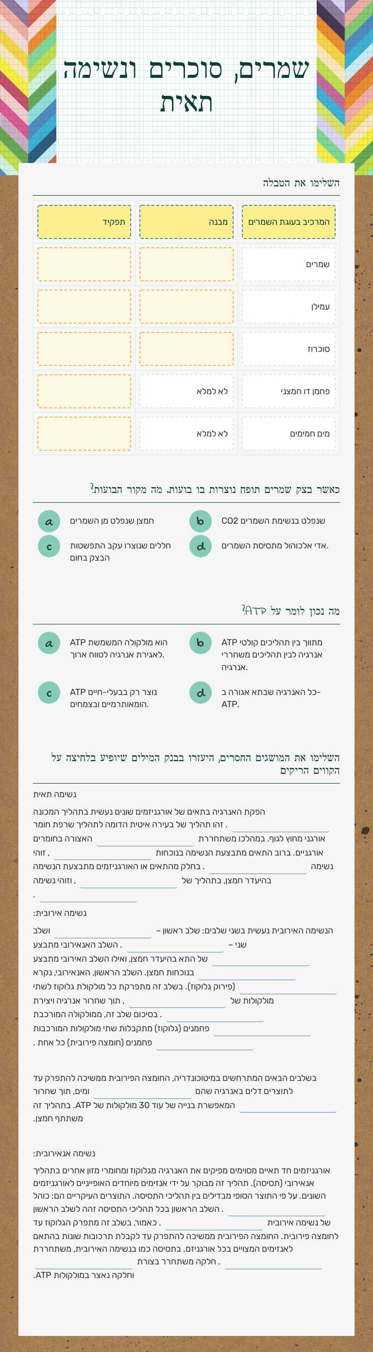 שמרים, סוכרים ונשימה תאית worksheet preview image