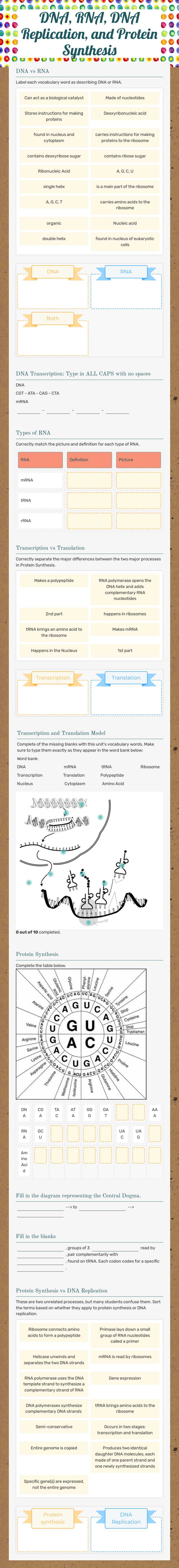 DNA, RNA, DNA Replication, and Protein Synthesis worksheet preview image