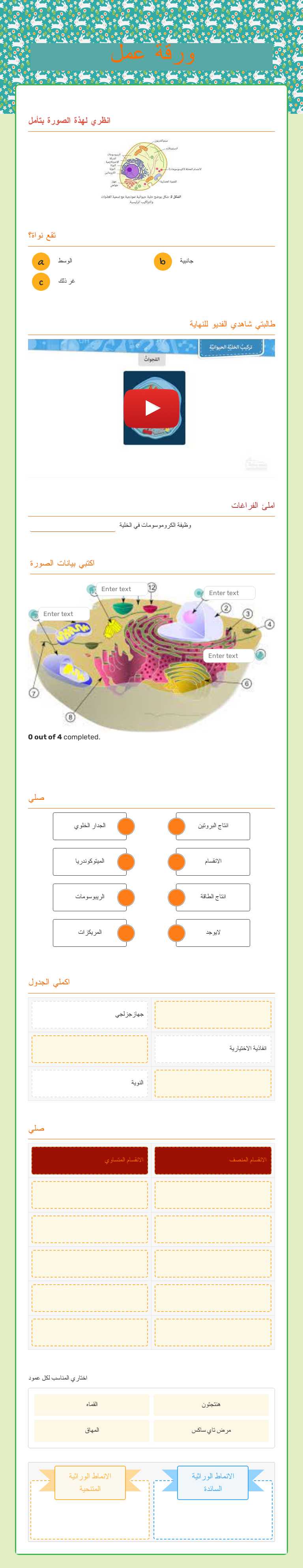ورقة عمل worksheet preview image