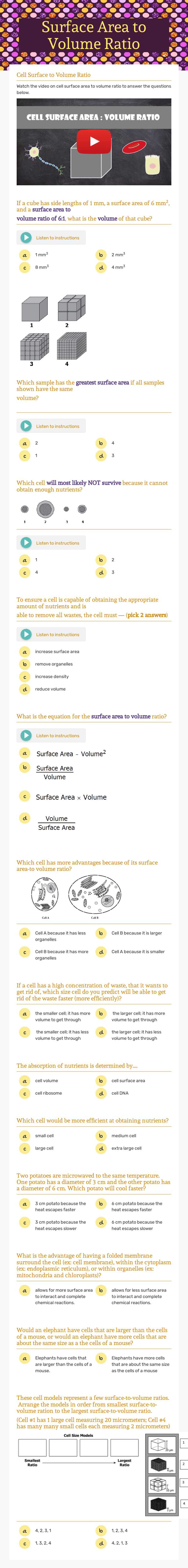 Surface Area to Volume Ratio worksheet preview image