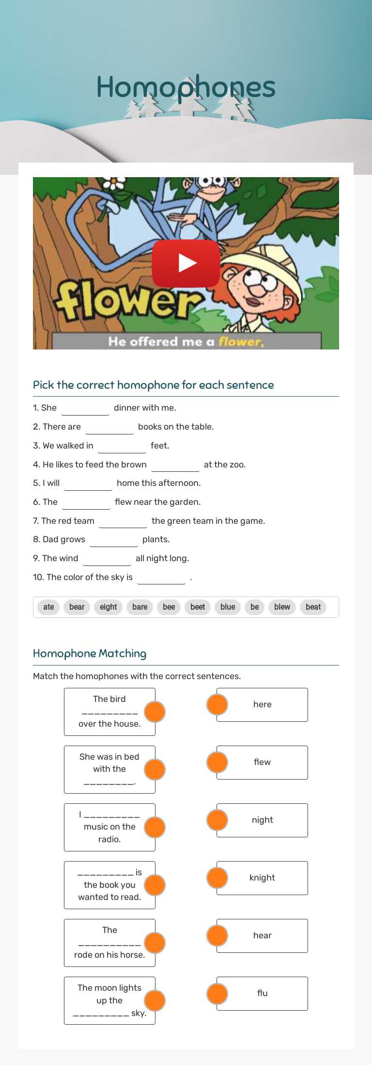 Homophones worksheet preview image