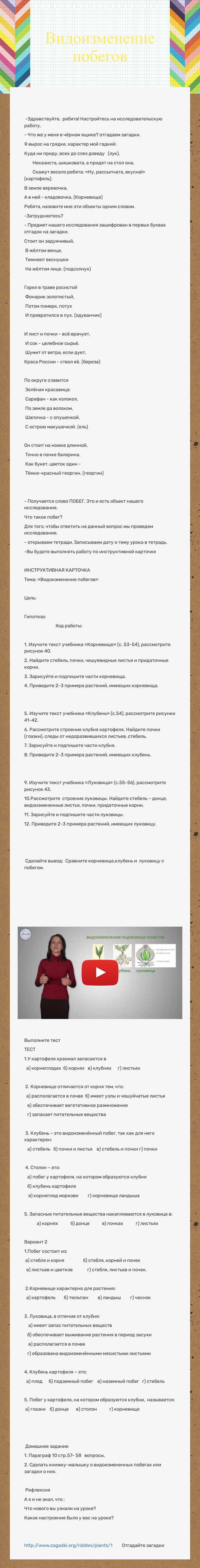 Видоизменение побегов worksheet preview image