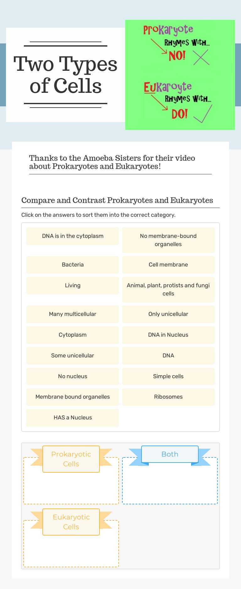 Two Types of Cells worksheet preview image