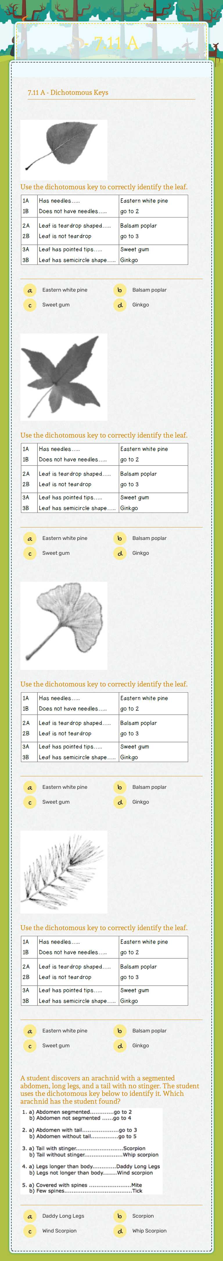 - 7.11 A worksheet preview image
