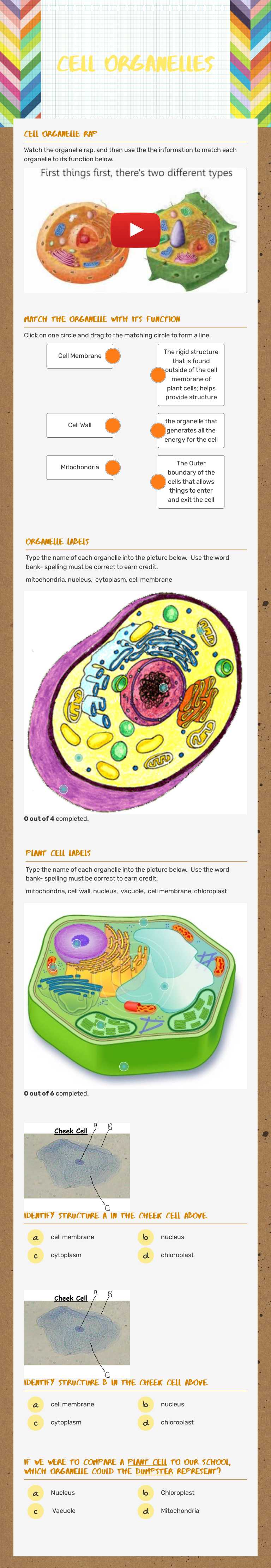 Cell Organelles Grade 7 worksheet preview