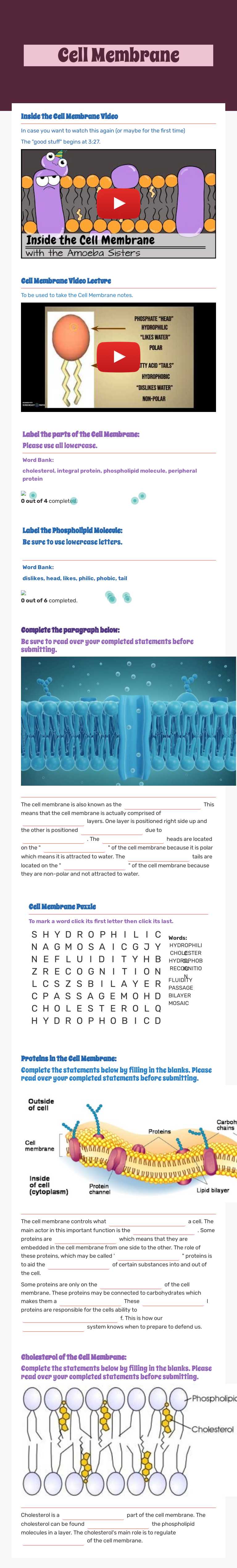 Cell Membrane worksheet preview image