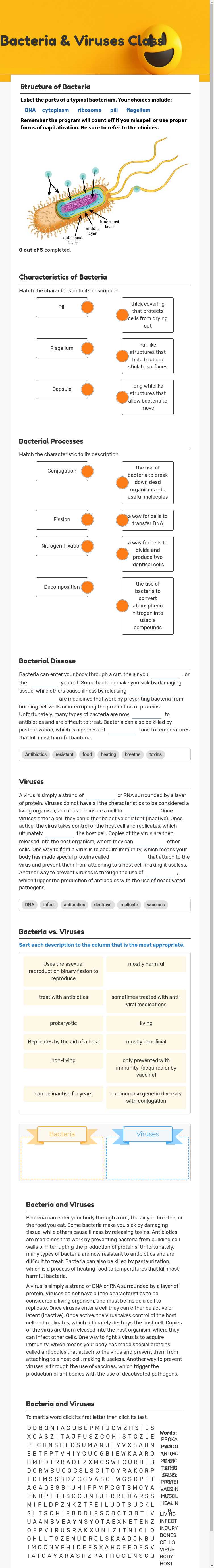 Bacteria & Viruses Class worksheet preview image