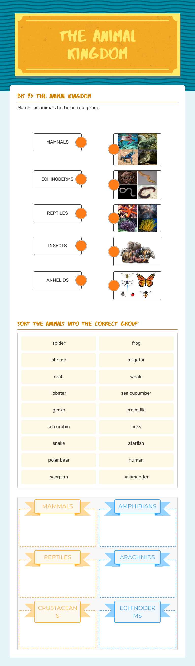 THE ANIMAL KINGDOM worksheet preview image
