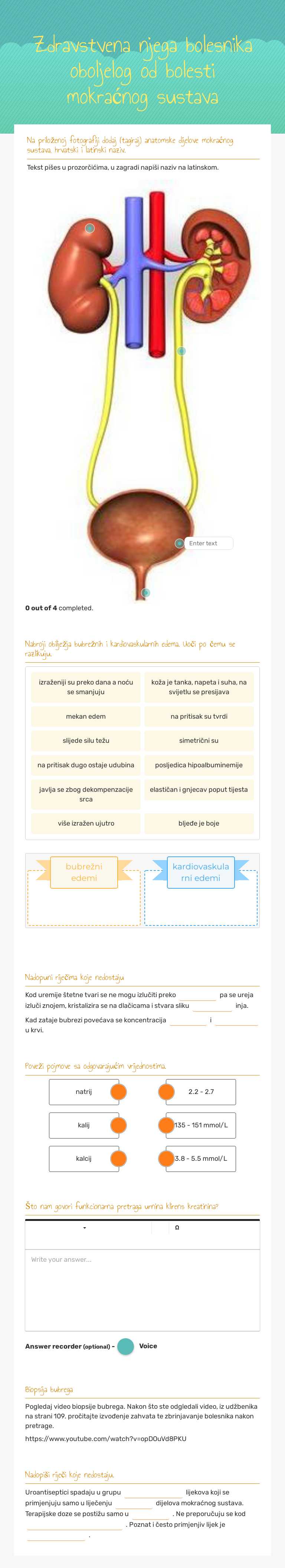 Zdravstvena njega bolesnika oboljelog od bolesti mokraćnog sustava worksheet preview image