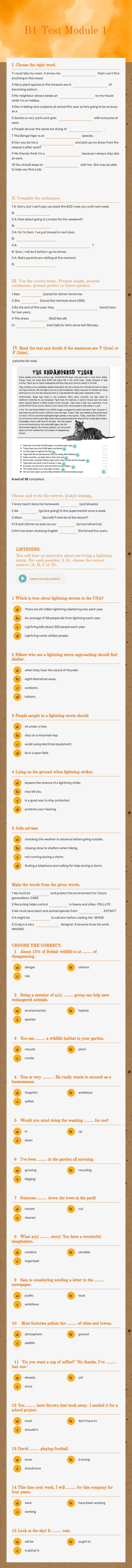 B1 Test Module 1 worksheet preview image