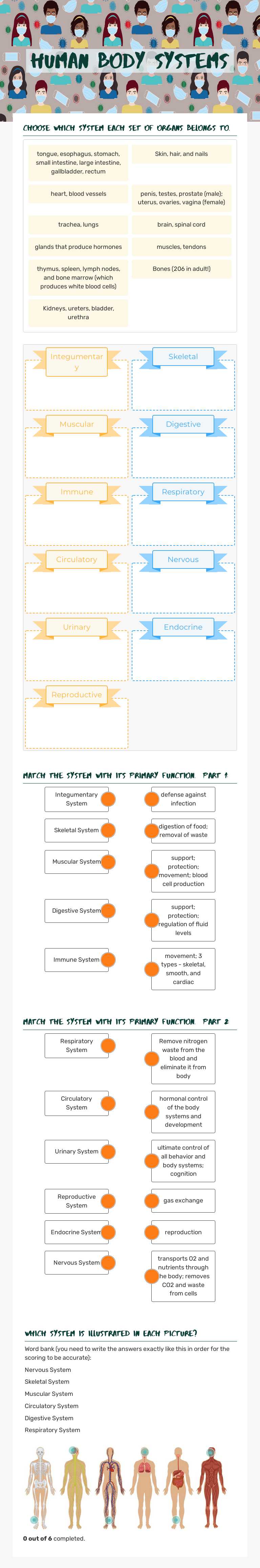 Human Body systems worksheet preview image