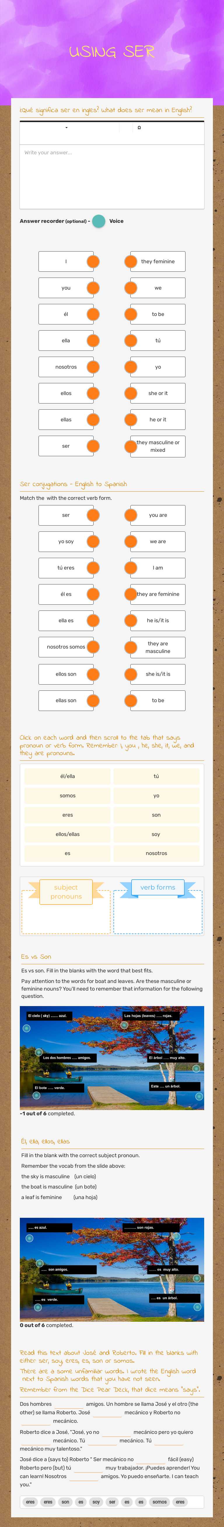 USING SER worksheet preview image