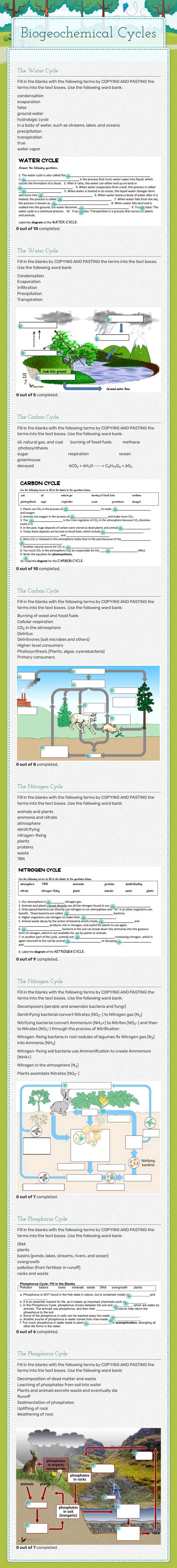 Biogeochemical Cycles Grade 10 worksheet preview