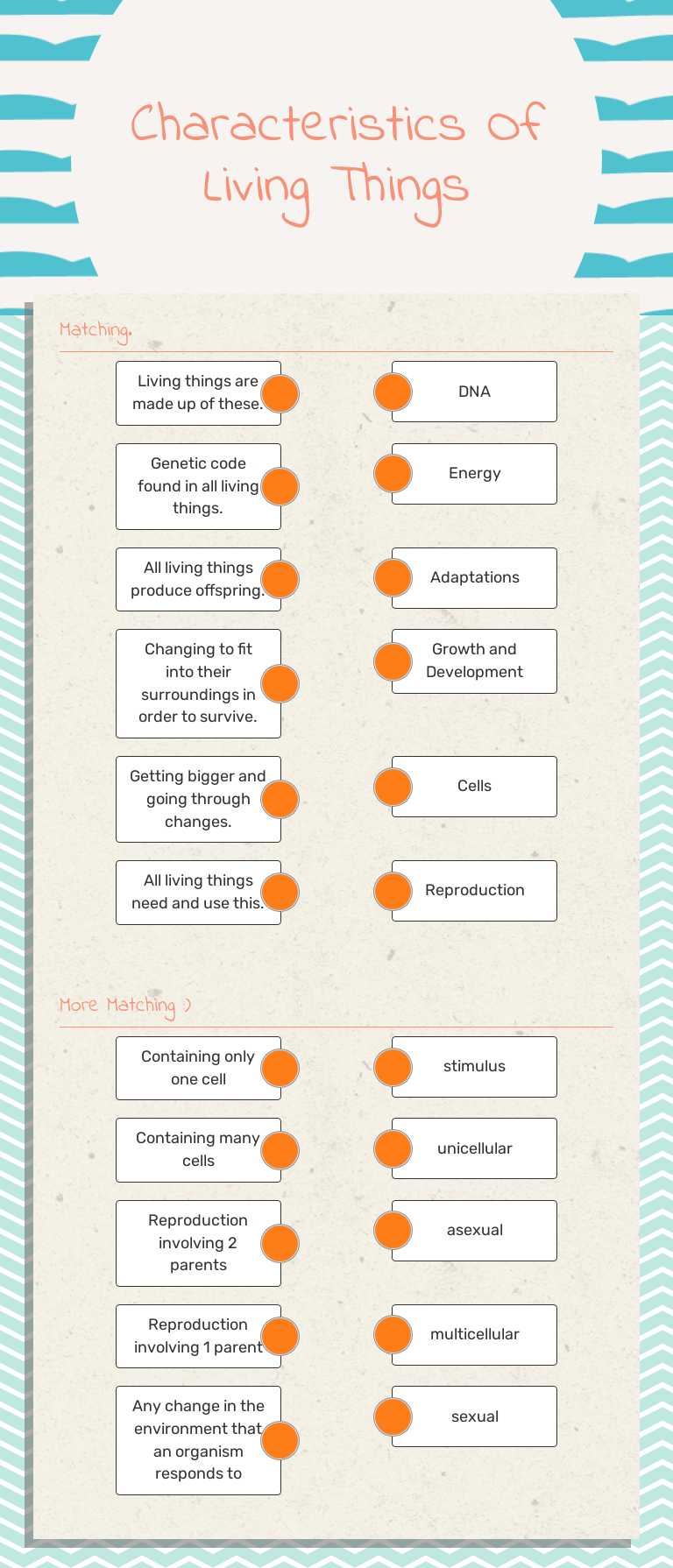 Characteristics Of Living Things Grade 7 worksheet preview
