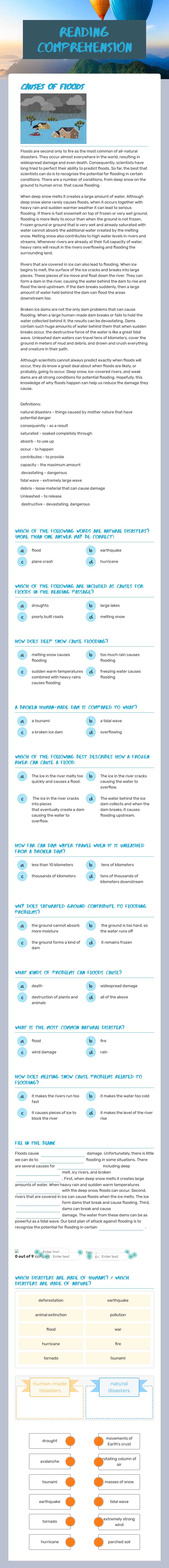 Reading comprehension worksheet preview image