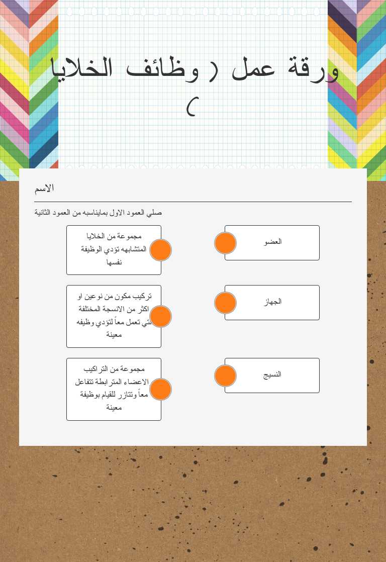 ورقة عمل ( وظائف الخلايا ) worksheet preview image