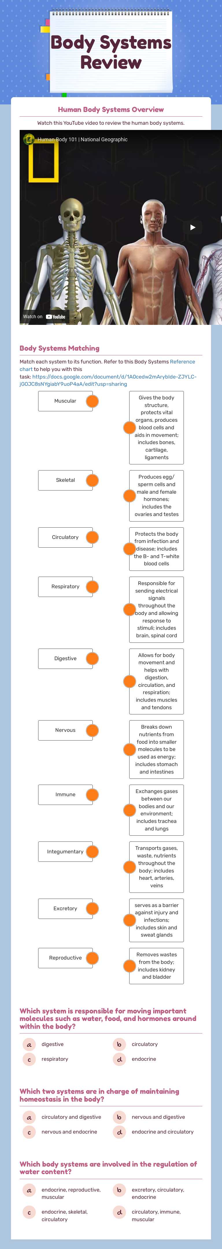 Human Body Systems worksheet preview image