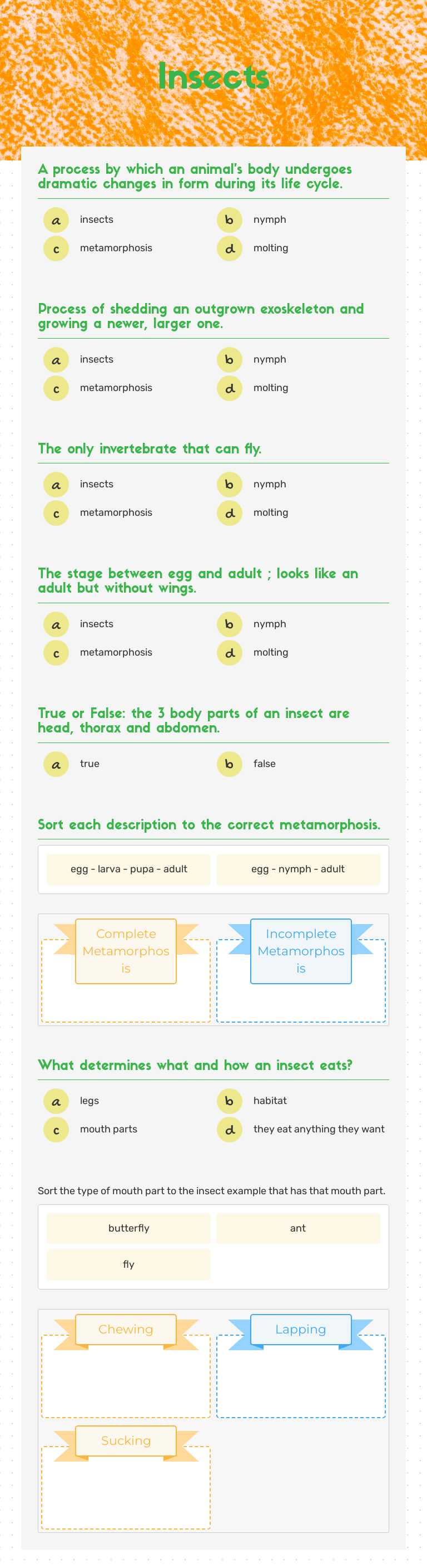 Insects worksheet preview image