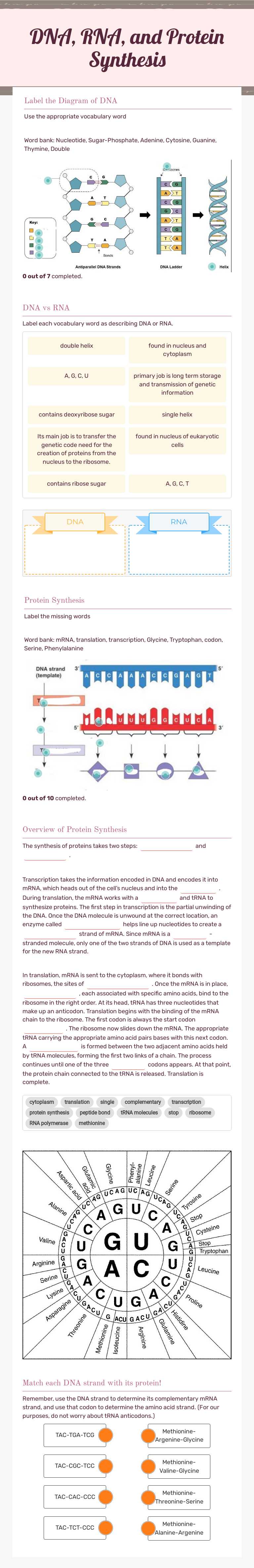 DNA, RNA, and Protein Synthesis worksheet preview image