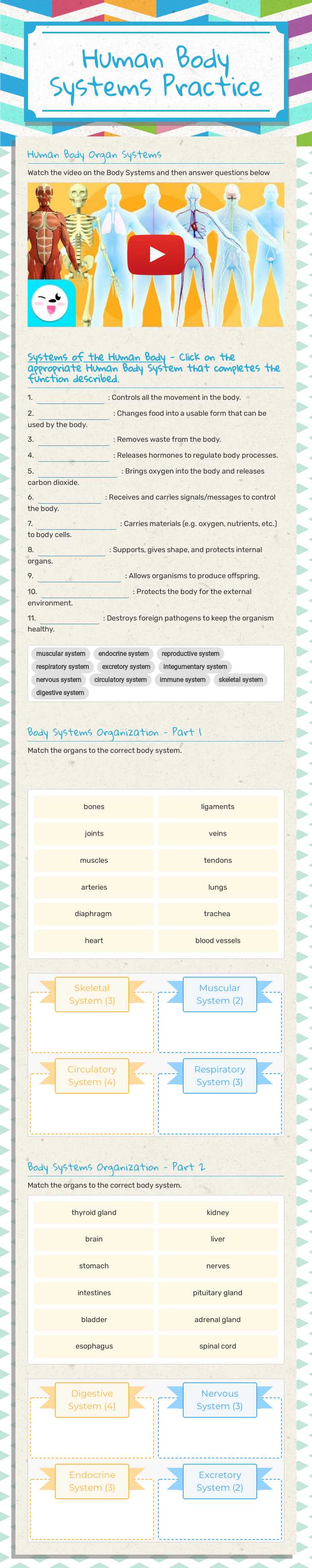 Human Body Systems Practice Grade 6 worksheet preview