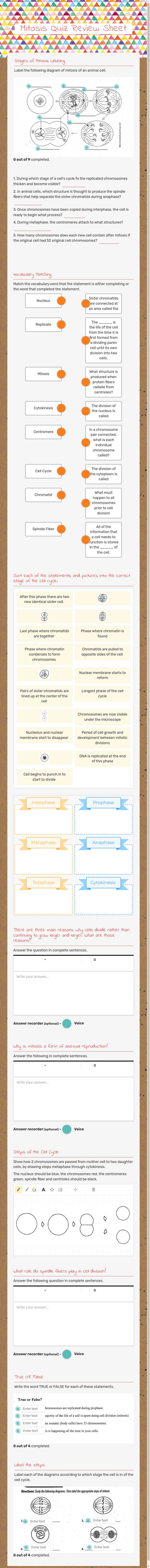 Mitosis Quiz Review Sheet worksheet preview image