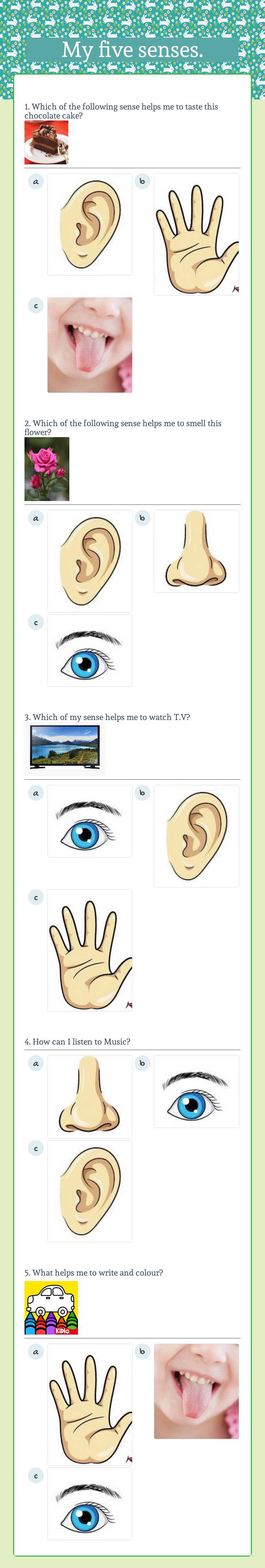 My five senses. worksheet preview image