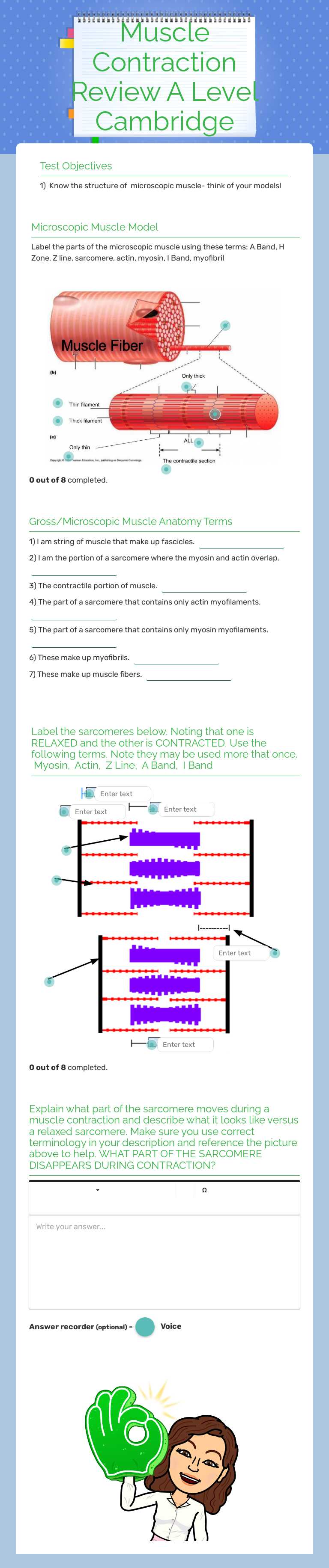 Muscle Contraction Review A Level Cambridge Grade 10 worksheet preview
