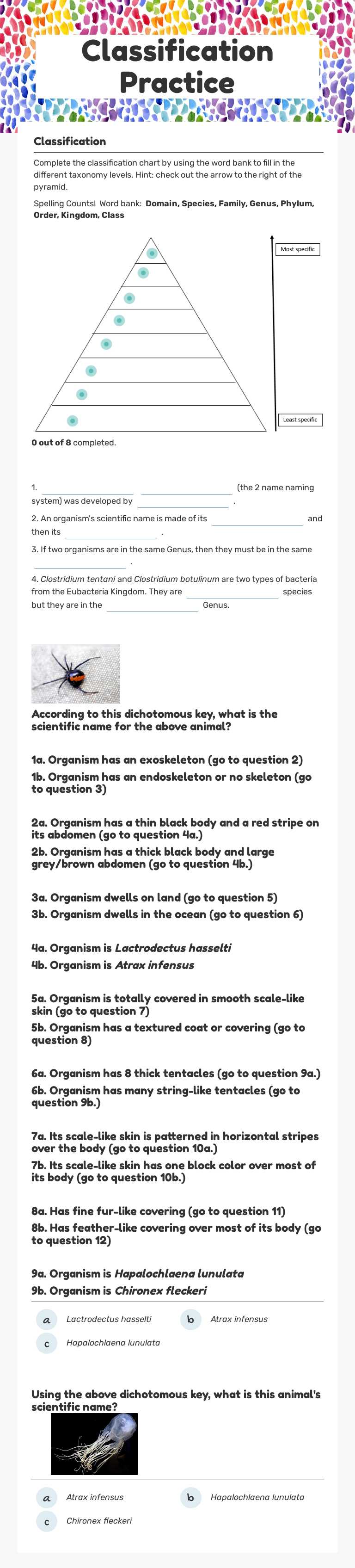 Classification Practice Grade 9 worksheet preview
