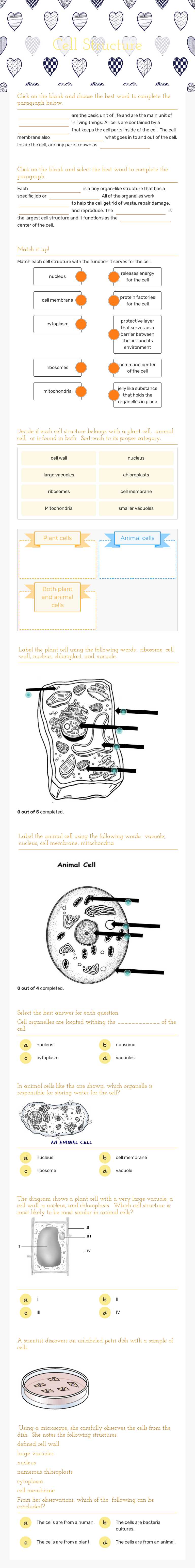 Cell Structure worksheet preview image