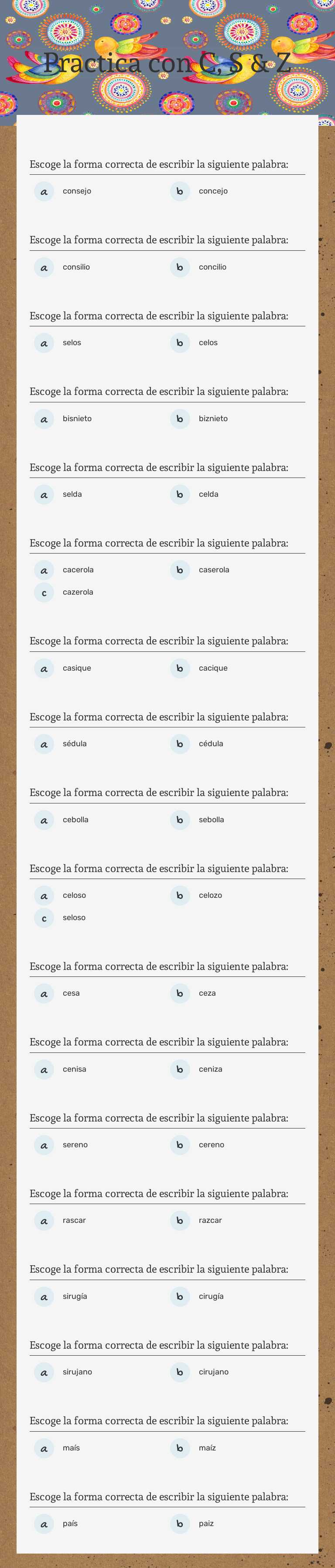 Practica con C, S & Z worksheet preview image