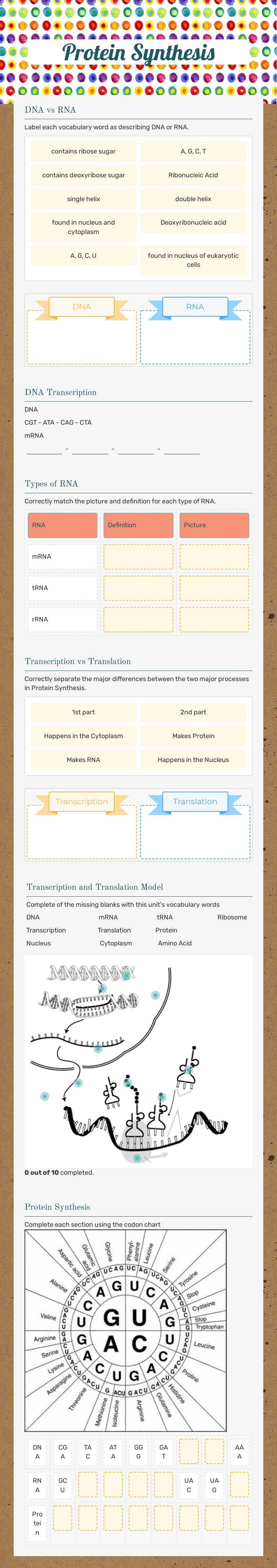 Protein Synthesis worksheet preview image