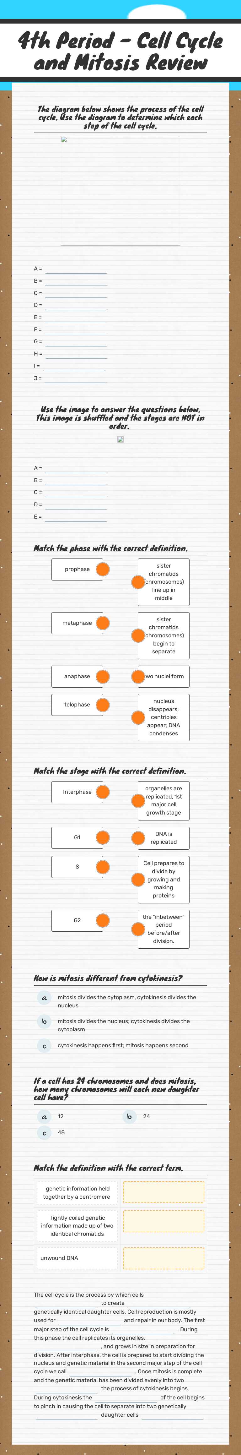 4th Period - Cell Cycle and Mitosis Review worksheet preview image