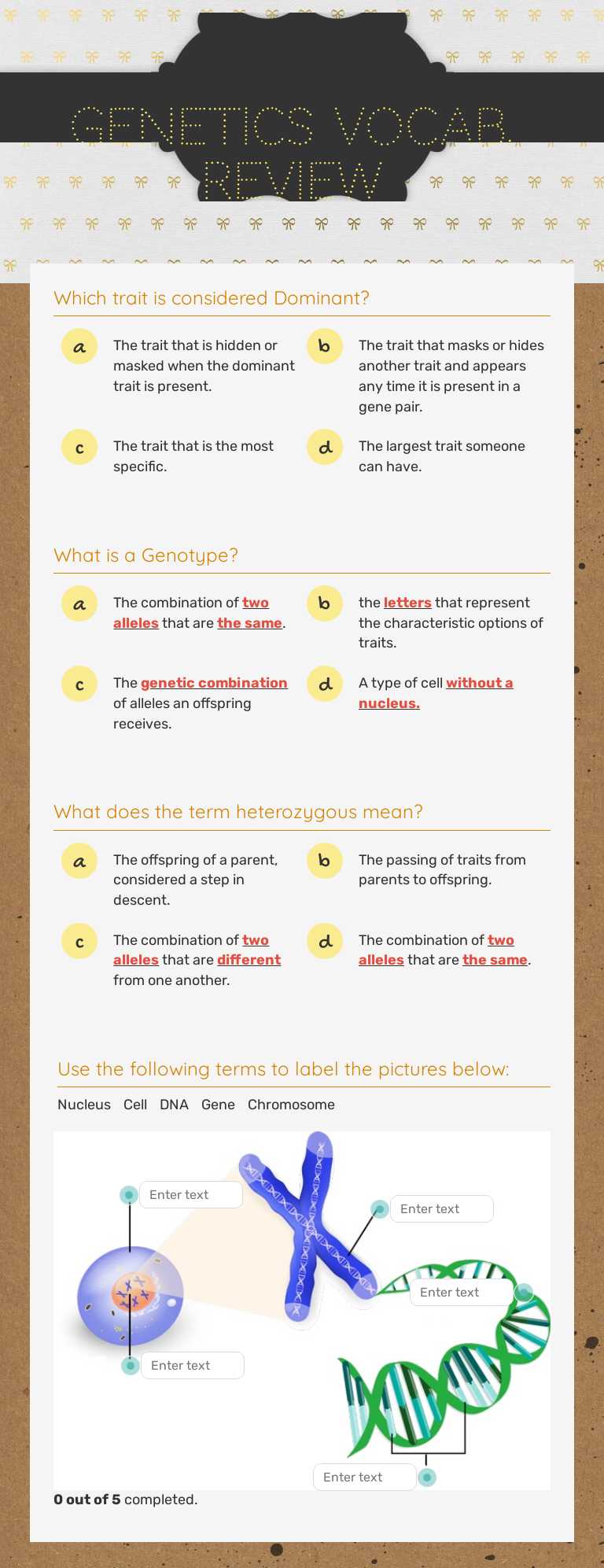 Genetics Vocab. Review worksheet preview image