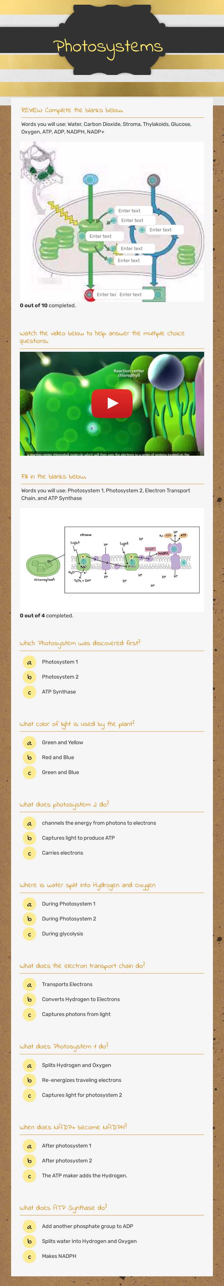 Photosystems worksheet preview image