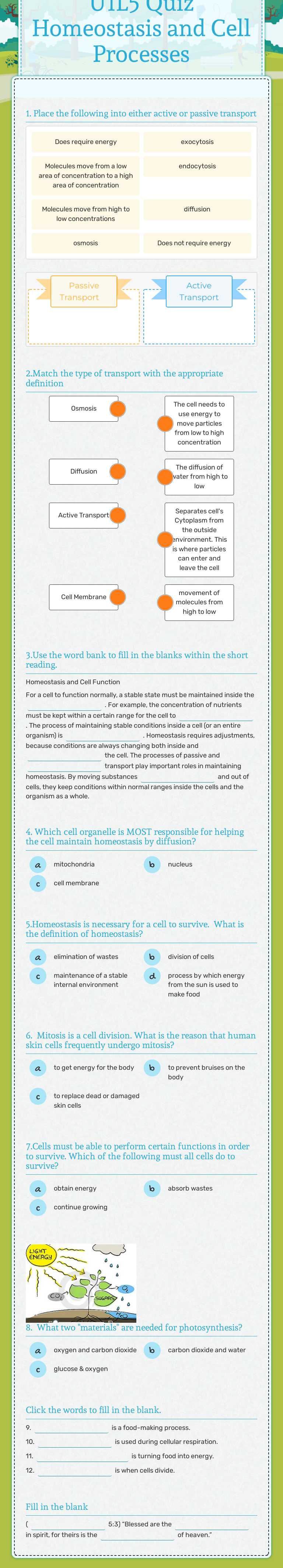 U1L5 Quiz Homeostasis and Cell Processes worksheet preview image