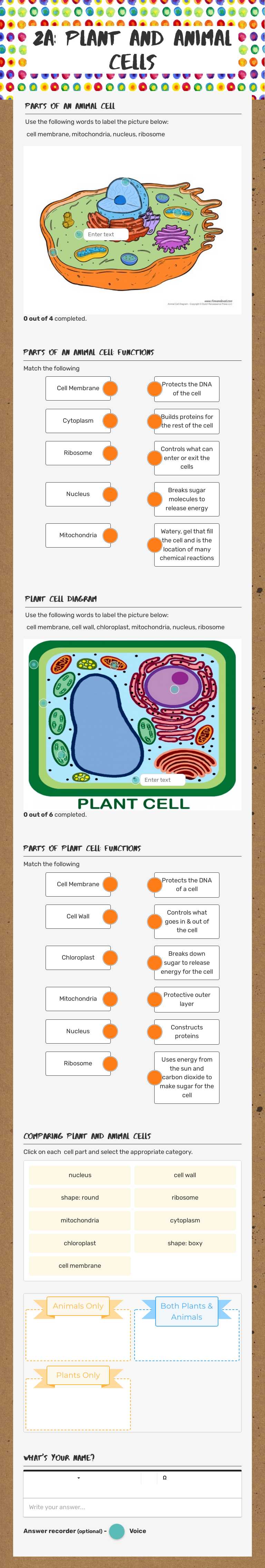 2A: Plant and Animal Cells worksheet preview image