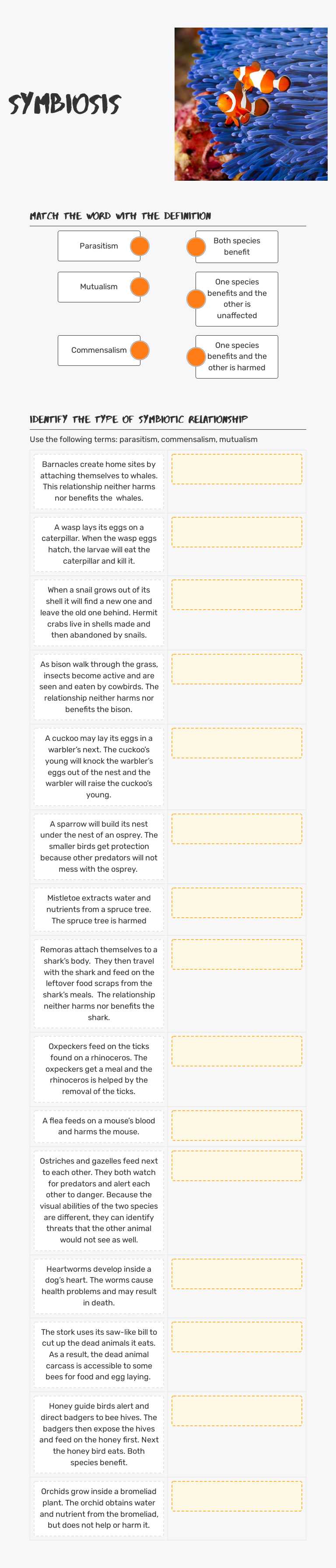 Symbiosis worksheet preview image