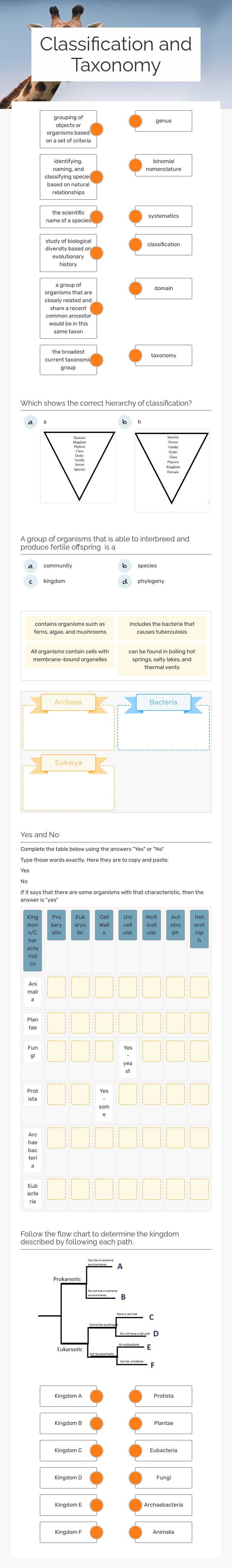 Classification and Taxonomy Grade 11 worksheet preview