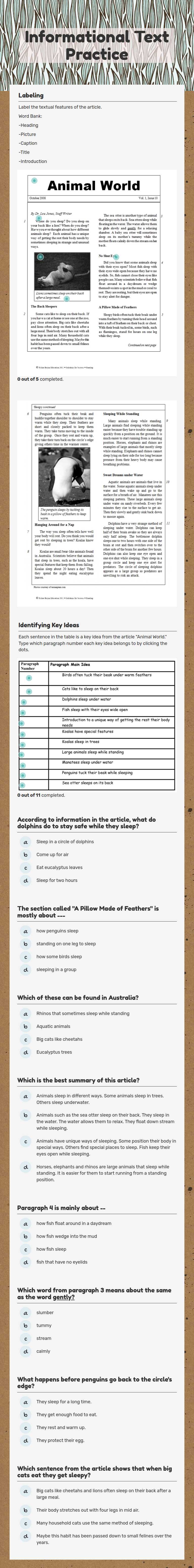 Informational Text Practice worksheet preview image