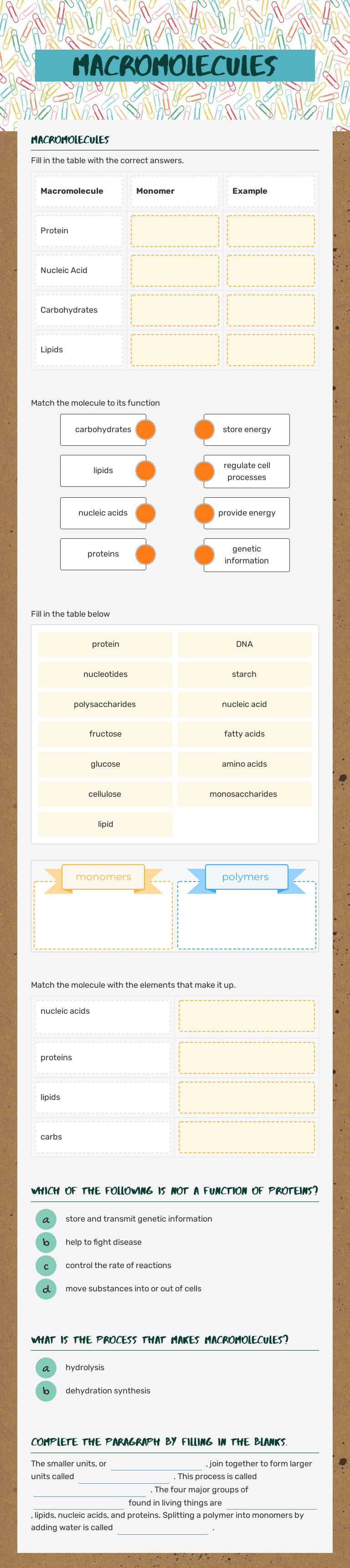 Macromolecules Grade 10 worksheet preview