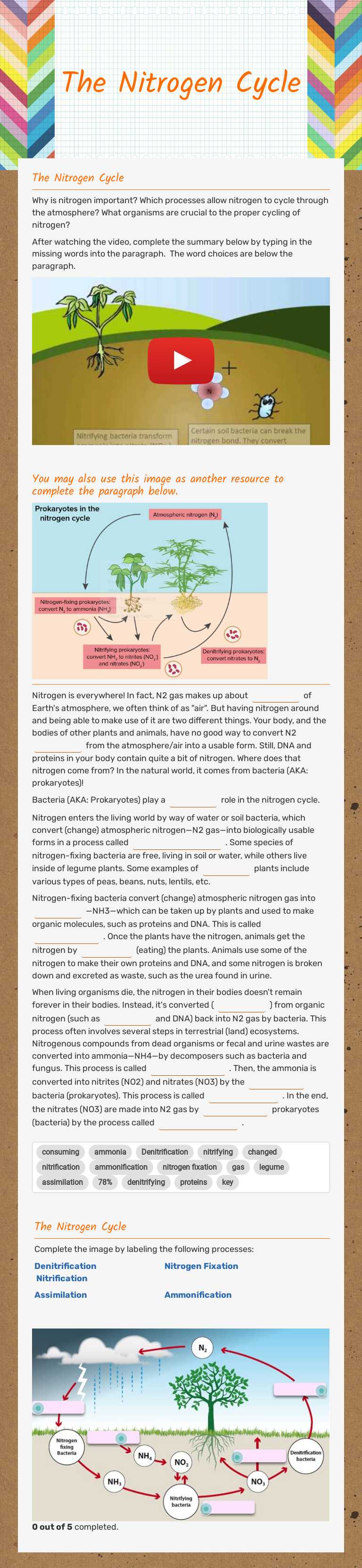 The Nitrogen Cycle Grade 8 worksheet preview