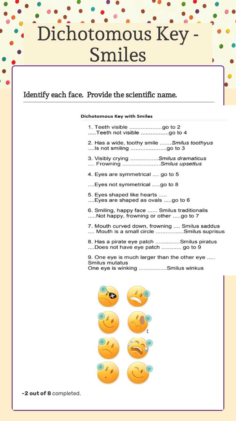 Dichotomous Key - Smiles Grade 10 worksheet preview