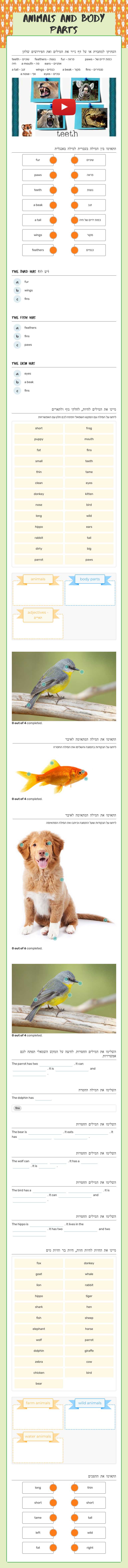 animals and Body Parts worksheet preview image