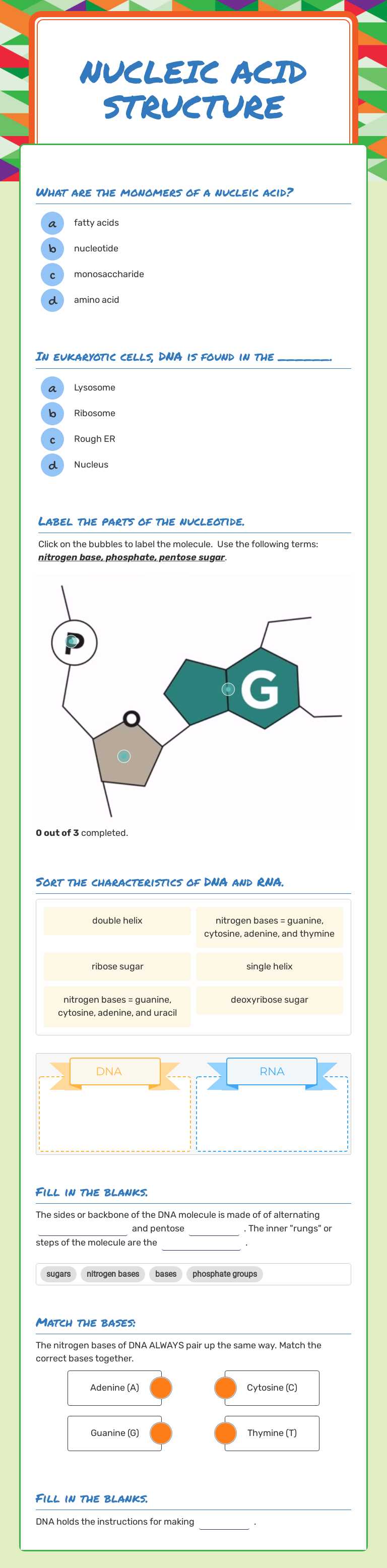 Nucleic Acid Structure worksheet preview image