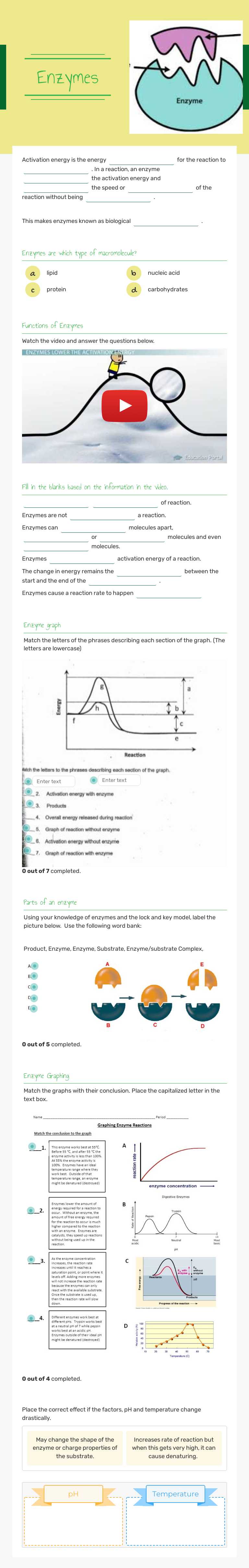 Enzymes Grade 10 worksheet preview