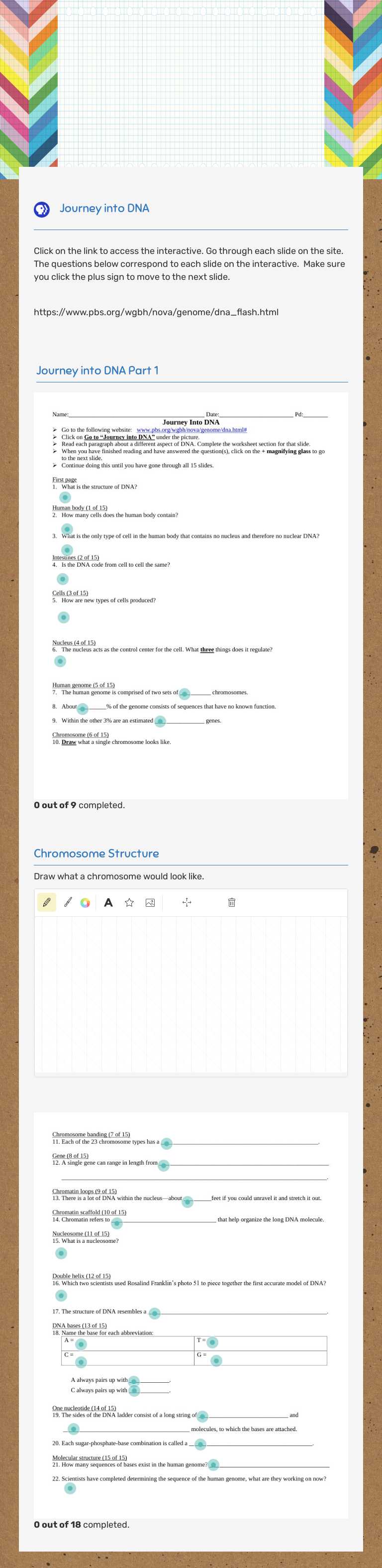 Journey INTO DNA Grade 9 worksheet preview