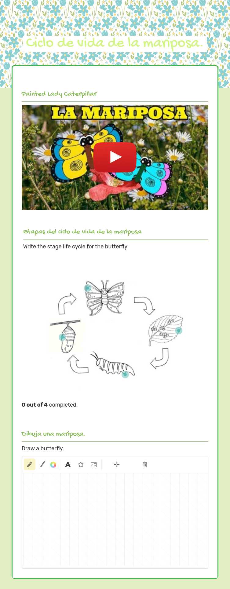Ciclo de vida de la  mariposa. worksheet preview image