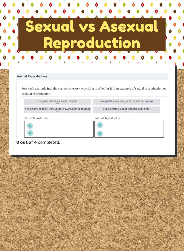 Sexual vs Asexual Reproduction worksheet preview image