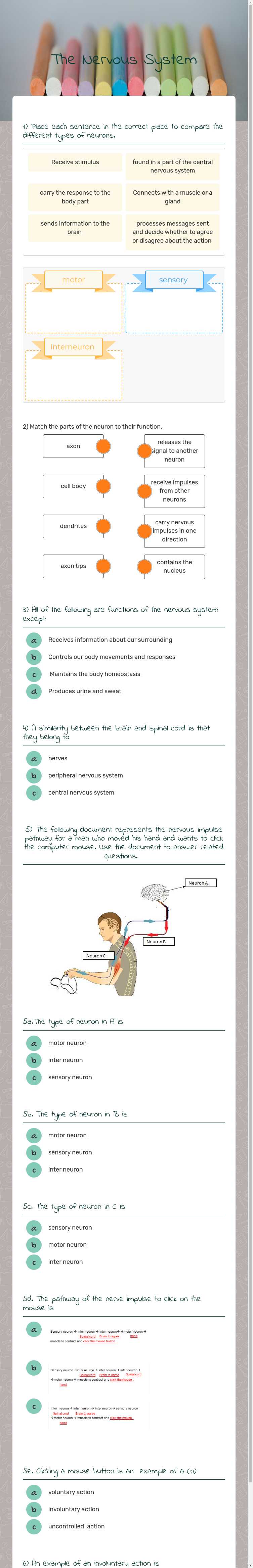 The Nervous System worksheet preview image
