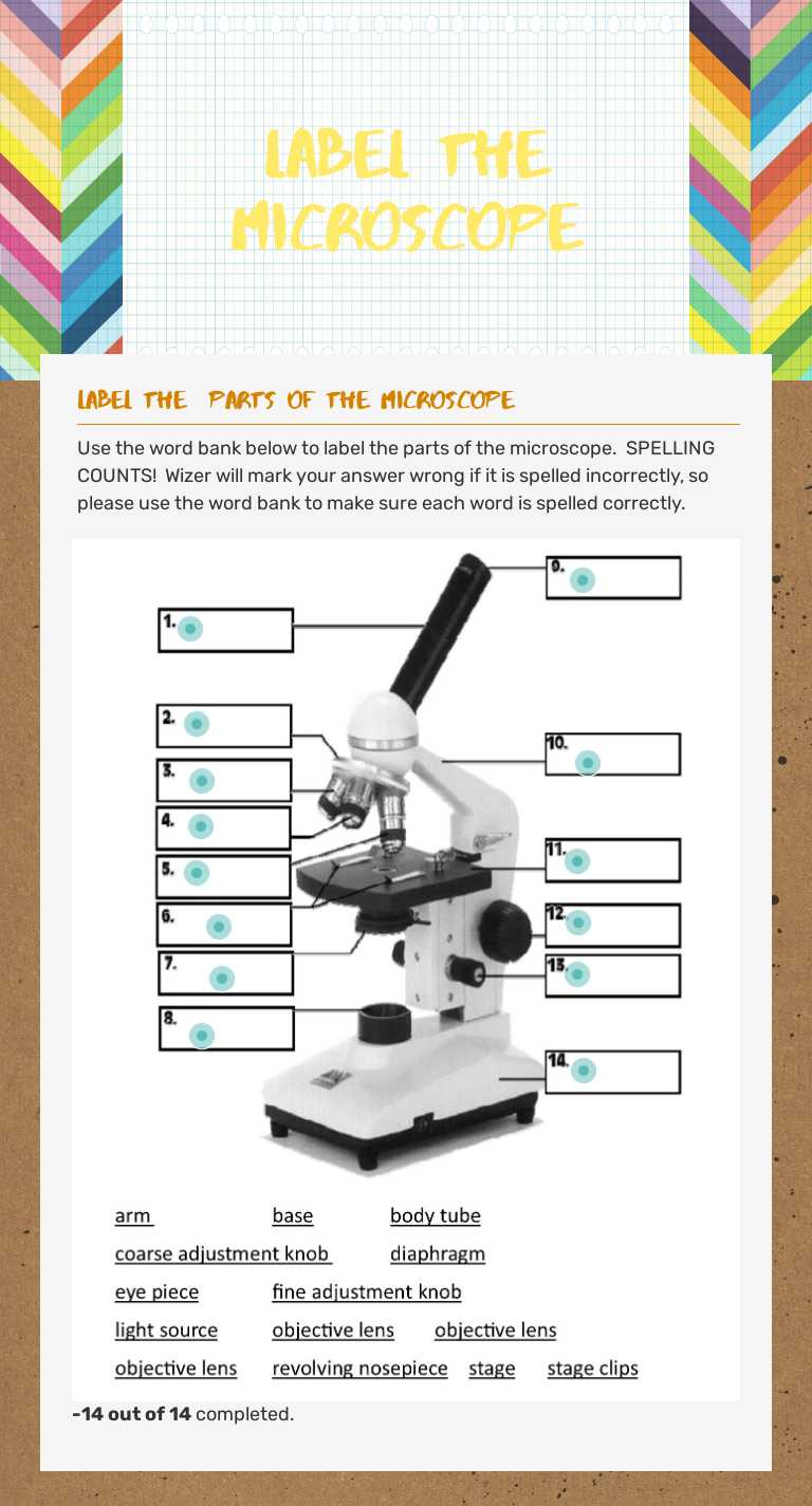 Label The Microscope worksheet preview image